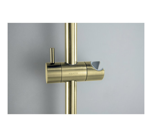 Душевой гарнитур Aquanet Европа 1jet 65 см шлифованное золото AQ2012BG