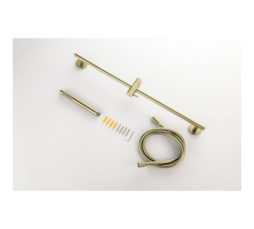 Душевой гарнитур Aquanet Европа 1jet 65 см шлифованное золото AQ2012BG