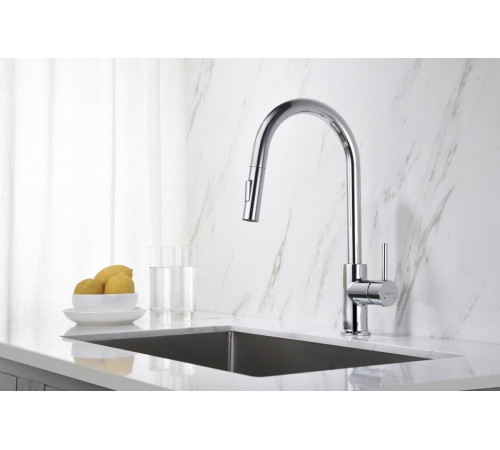 Смеситель для кухни Aquanet Европа с вытяжным изливом 2 jet хром AQ1384CR