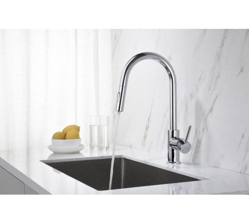 Смеситель для кухни Aquanet Европа с вытяжным изливом 2 jet хром AQ1384CR