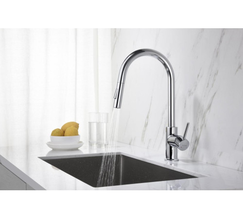 Смеситель для кухни Aquanet Европа с вытяжным изливом 2 jet хром AQ1384CR