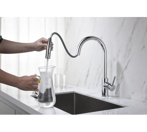 Смеситель для кухни Aquanet Европа с вытяжным изливом 2 jet хром AQ1384CR