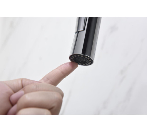 Смеситель для кухни Aquanet Европа с вытяжным изливом 2 jet хром AQ1384CR