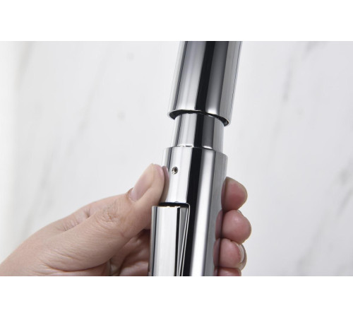 Смеситель для кухни Aquanet Европа с вытяжным изливом 2 jet хром AQ1384CR