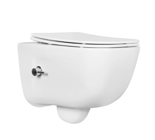 Унитаз-биде подвесной безободковый Aquanet Дива 510х350х360 мм сиденье soft-close со смесителем AQ2012B-00