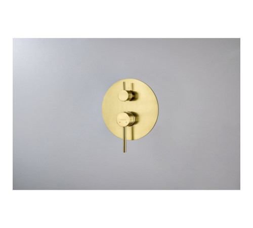 Смеситель для ванны встраиваемый Aquanet Европа 2 режима внешняя и скрытая часть шлифованное золото AQ1346BG