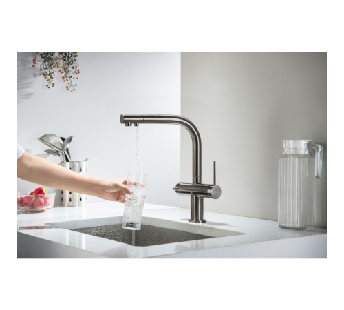 Смеситель для кухни Aquanet Европа под фильтр оружейная сталь AQ1385BGM