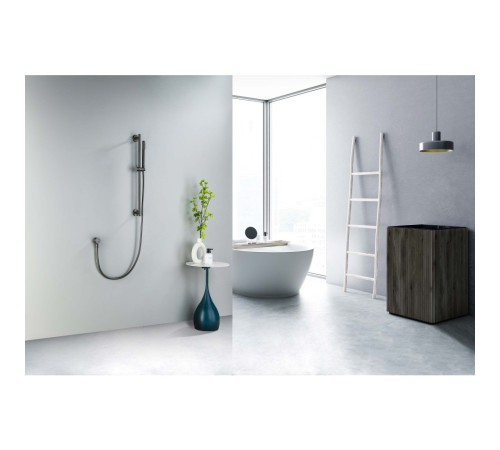 Душевой гарнитур Aquanet Европа 1jet 65 см оружейная сталь AQ2012BGM