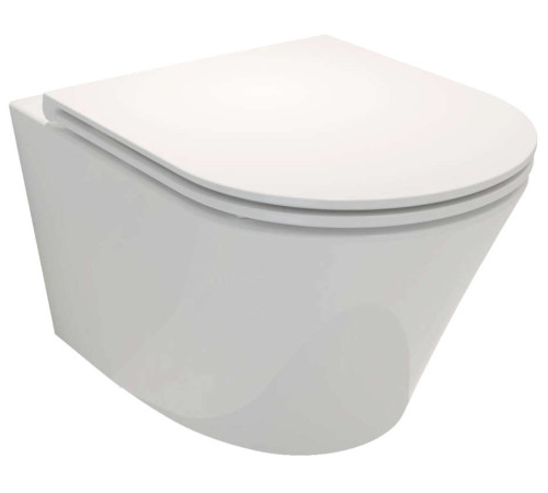 Сиденье для унитаза Jacob Delafon Rodin+ тонкое микролифт термодюропласт E23280-00