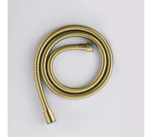Шланг для душа Aquanet 120 см нержавеющая сталь шлифованное золото AQ2103BG