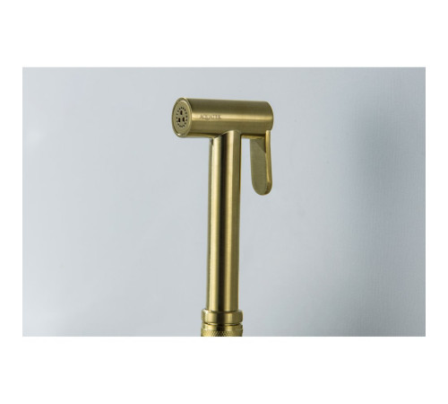 Гигиеническая лейка Aquanet шлифованное золото AQ2057BG