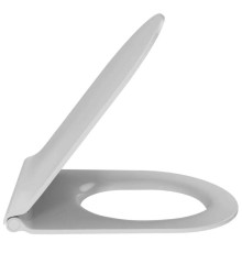 Сиденье для унитаза Jacob Delafon Rodin+ тонкое микролифт термодюропласт E23280-00