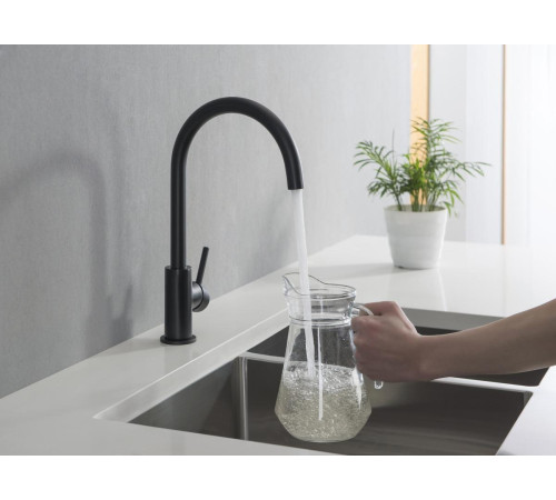 Смеситель для кухни Aquanet Европа матовый черный AQ1382MB