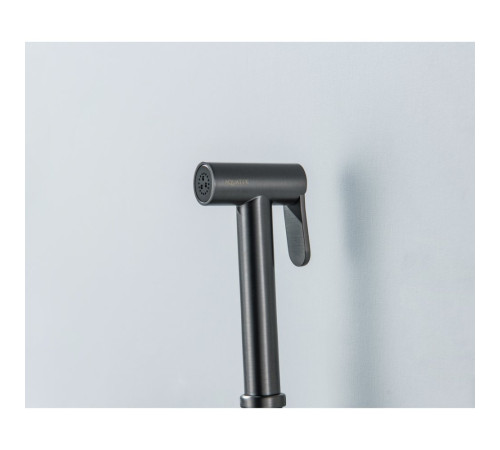 Гигиеническая лейка Aquanet оружейная сталь AQ2057BGM