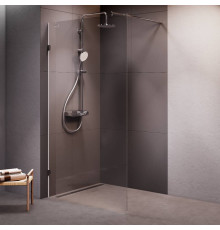 Душевая перегородка AM.PM Walk In 110x195 см W94WI-110-F1-MTE