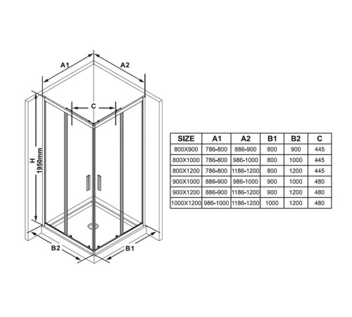 Душевая дверь Ravak Blix Slim BLDP2-100 100 см профиль блестящий X1XMA0C00Z1