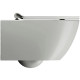 Унитаз подвесной безободковый GSI Pura 550x360 мм Swirlflush Cenere Matte 8815FR517