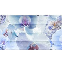 Декор Ceradim Vanda Panno C 25x45 см КПН16VandaC