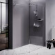 Душевая перегородка AM.PM Walk In 120x200 см W84WI-120-F1-MTE