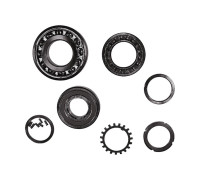 Комплект подшипников ротора двигателя Grundfos FR70 96294823