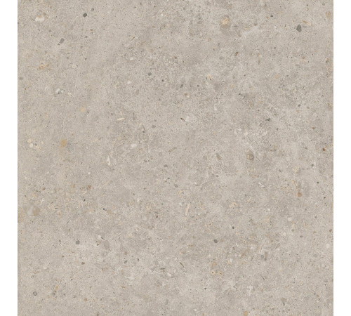 Керамогранит Kerama Marazzi Риккарди бежевый матовый обрезной 60x60 см SG653820R