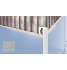 Профиль для плитки внешний Cezar 10 мм серебро T202