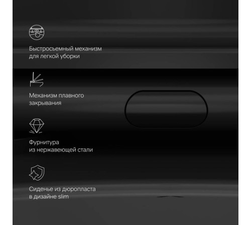 Унитаз подвесной AM.PM Func FlashClean с сиденьем микролифт матовый C8F1700MBSC