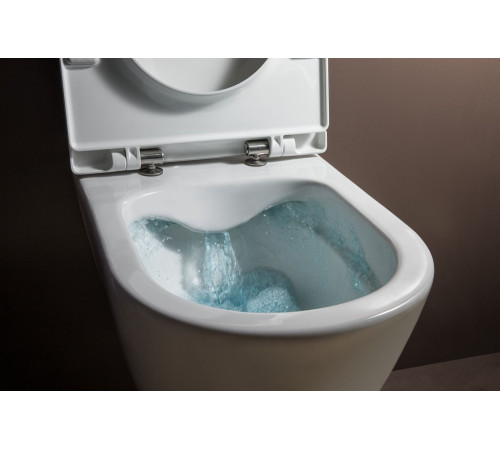 Унитаз подвесной Laufen Pro Rimless 53х36х34 см белый 8.2096.6.000.000.1