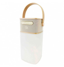 Фонарь кемпинговый Apeyron Electrics  11-104