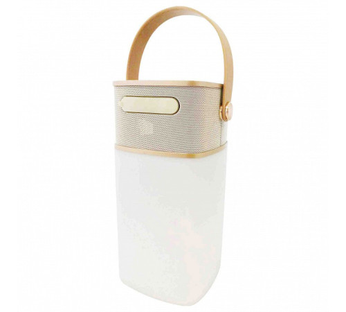 Фонарь кемпинговый Apeyron Electrics 11-104