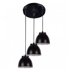 Подвесной светильник Apeyron Electrics  16-65