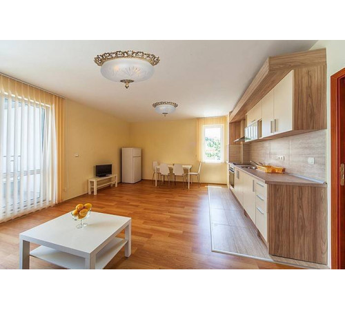 Накладной светильник Arti Lampadari Venezia Venezia E 1.13.46 G