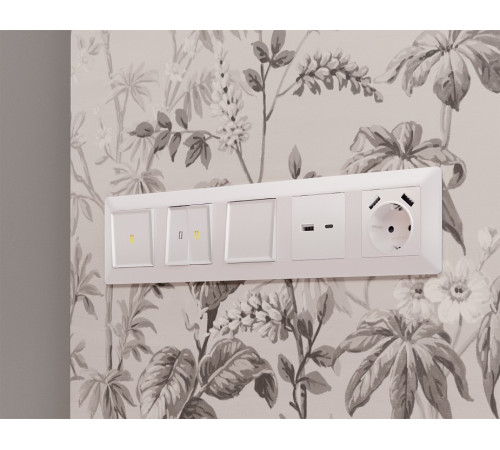 Накладка для розетки с заземлением и со шторками и 2хUSB type A Ambrella Volt Quant AP2090
