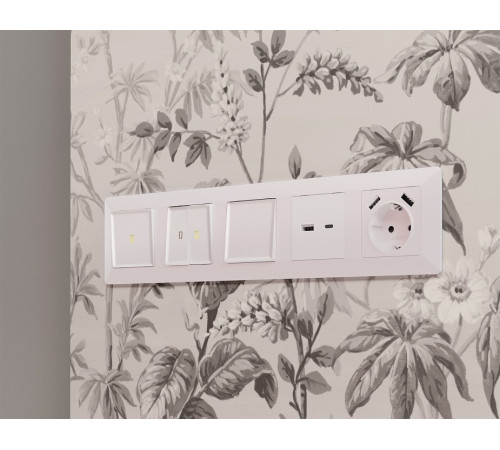 Накладка для розетки type A и C Ambrella Volt Quant AP2110