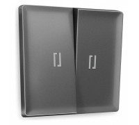 Клавиши для выключателя двухклавишного c подсветкой Ambrella Volt Quant AP6540