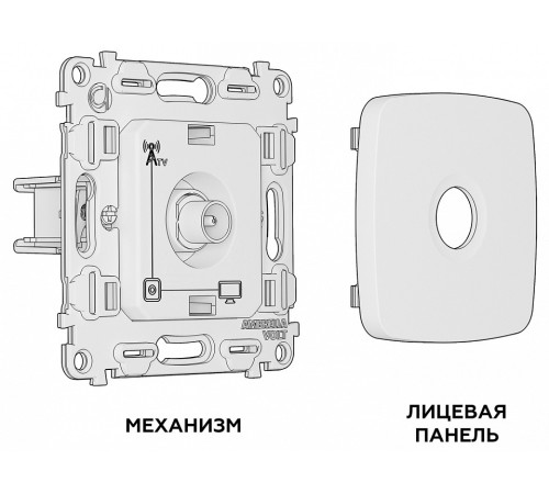 ТВ-розетка без рамки Ambrella Volt MO MO113010