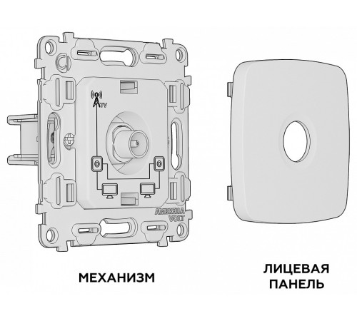 ТВ-розетка без рамки Ambrella Volt MO MO113030
