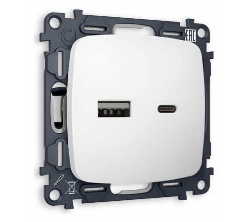 Розетка 2хUSB type A и C без рамки Ambrella Volt Quant MO131010