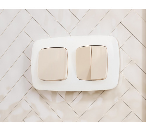 Выключатель перекрестный двухклавишный без рамки Ambrella Volt OMEGA MO303030