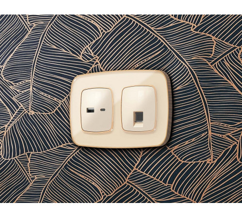 Розетка Ethernet RJ-45 и со шторками, без рамки Ambrella Volt OMEGA MO312005