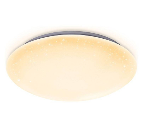 Накладной светильник Ambrella Light FF FF42