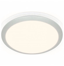 Накладной светильник Ambrella Light FF FF49