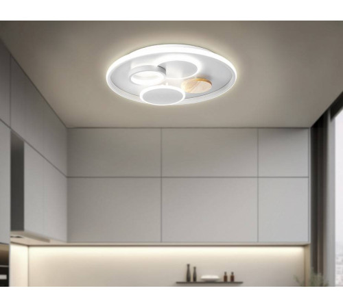 Накладной светильник Ambrella Light FL FL4803