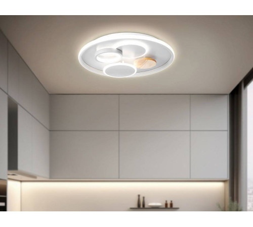 Накладной светильник Ambrella Light FL FL4803