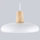 Подвесной светильник Ambrella Light FL FL4838