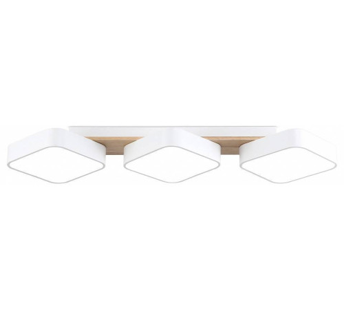 Накладной светильник Ambrella Light FL FL4877