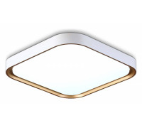 Потолочный светильник Ambrella Light FZ FZ1259 LED 11 Вт 5000 К FZ1259