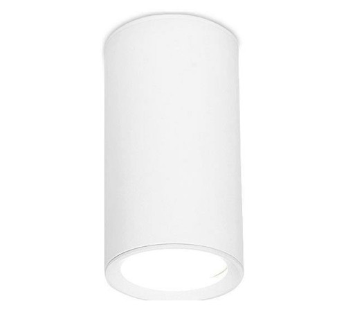 Накладной светильник Ambrella Light TN TN218