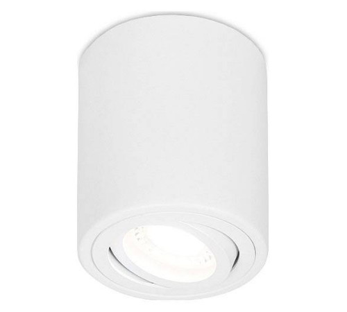 Накладной светильник Ambrella Light TN TN225