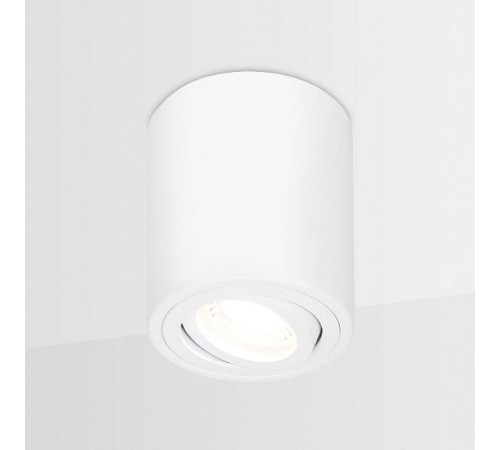 Накладной светильник Ambrella Light TN TN225